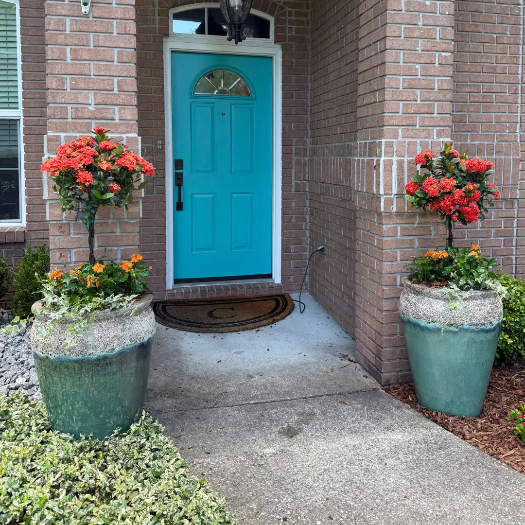Seasonal Reserve Planter Insert Subscription