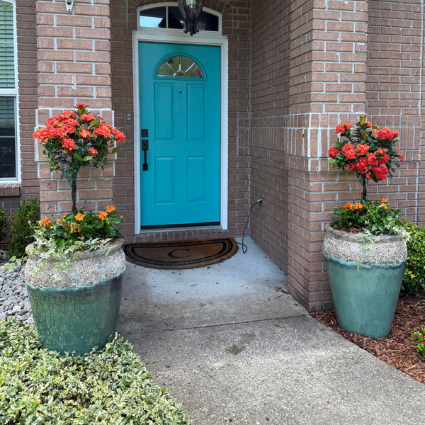 Seasonal Reserve Planter Insert