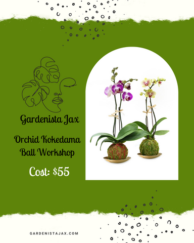 March 2024: Orchid Kokedama Ball Workshop