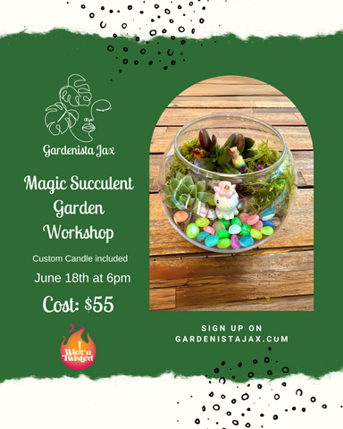 6/18: Wick N' Twisted: Custom Candle and Magic Garden Terrariums