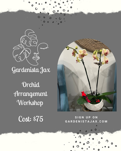 5/8 May 2025: Orchid Centerpiece Arrangement Workshop