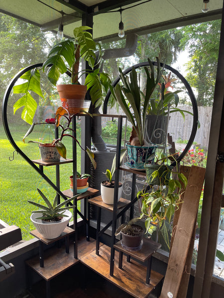Gardenista Porch Patio Oasis Visit Appointment