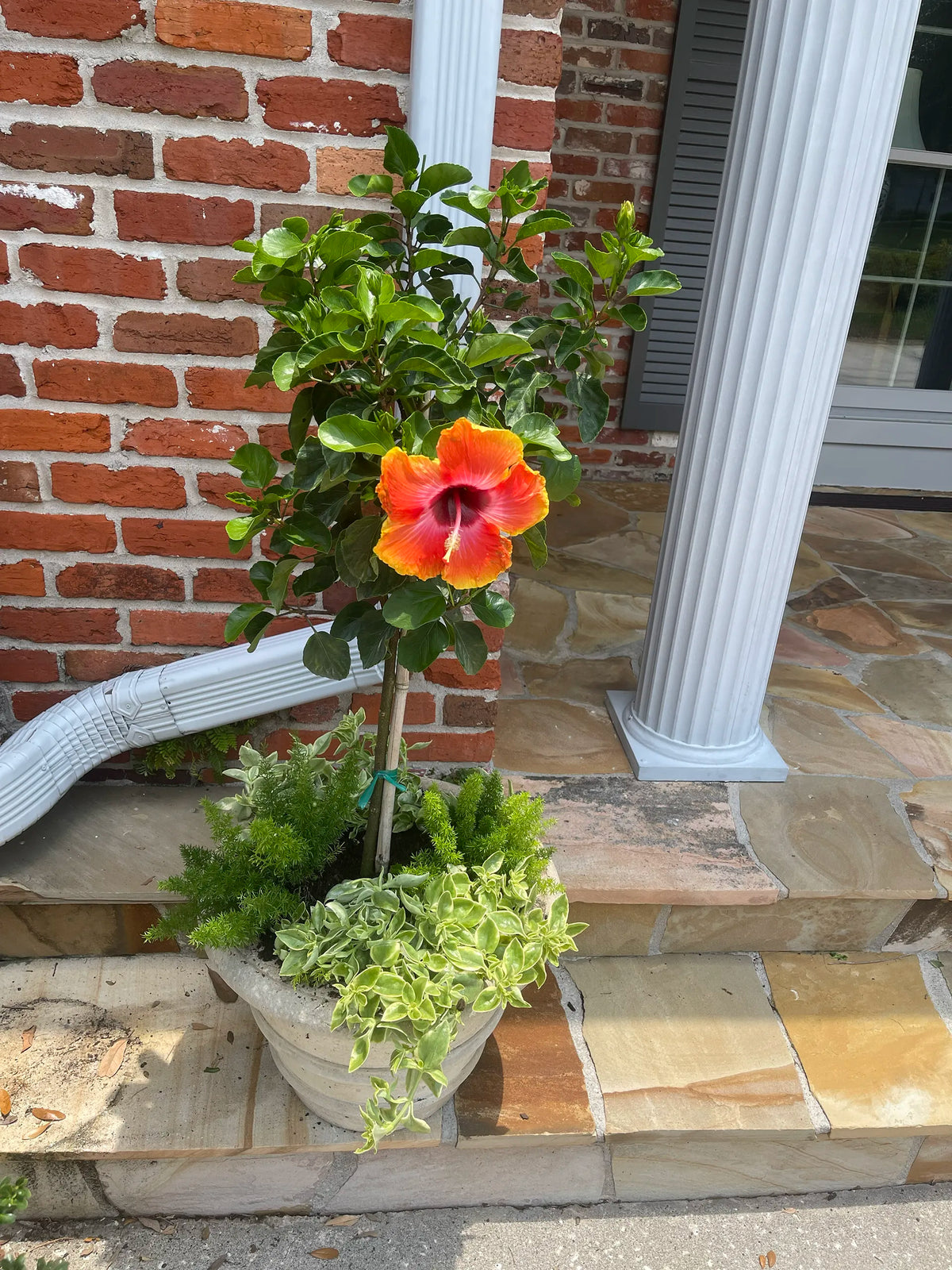 Custom Planter Consultation