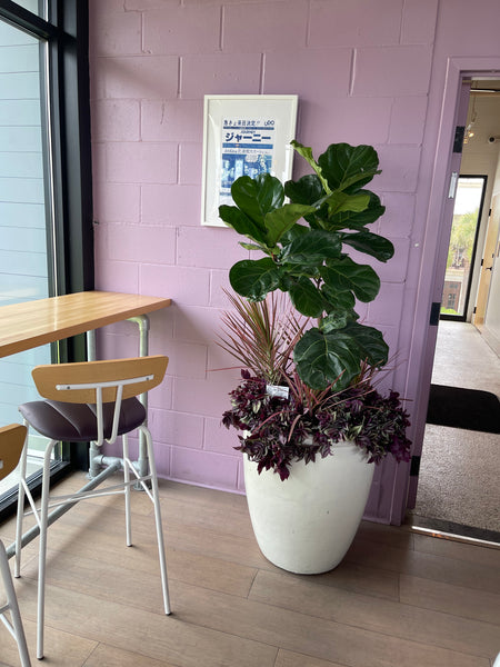 Exterior Planters Design with Advice Consultation