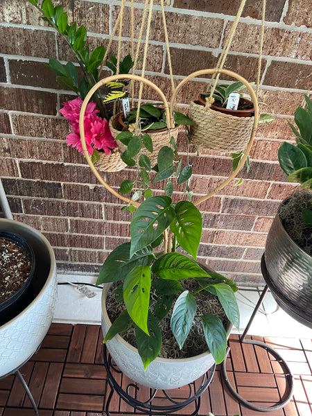 Gardenista Porch Patio Oasis Visit Appointment