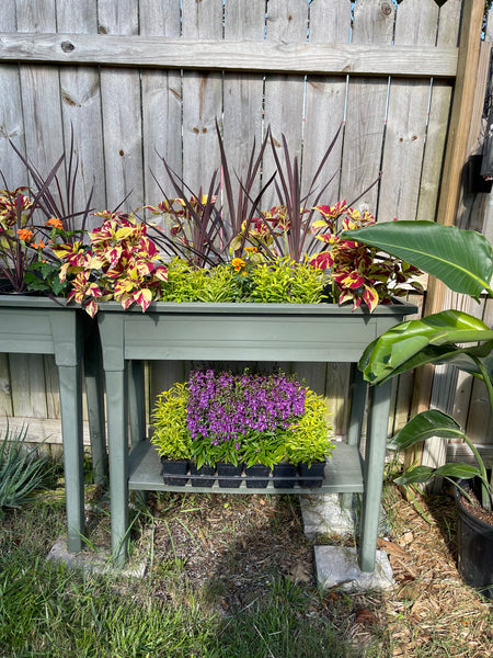 Gardenista Porch Patio Oasis Visit Appointment