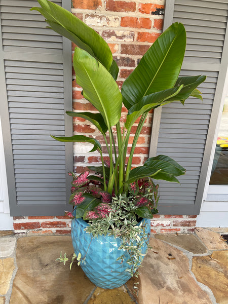Exterior Planters Design with Advice Consultation