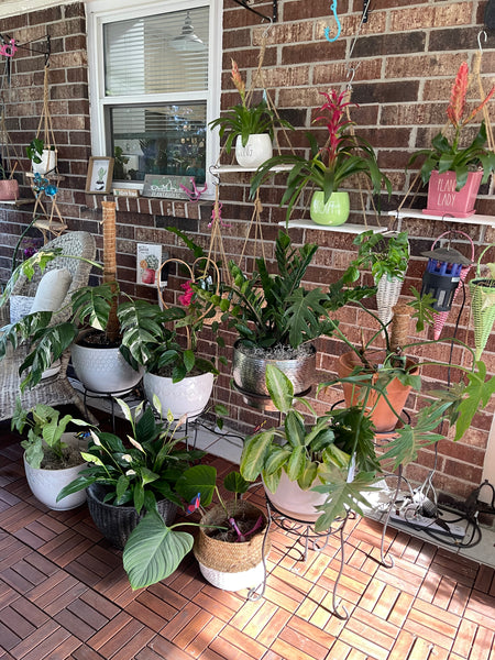 Gardenista Porch Patio Oasis Visit Appointment