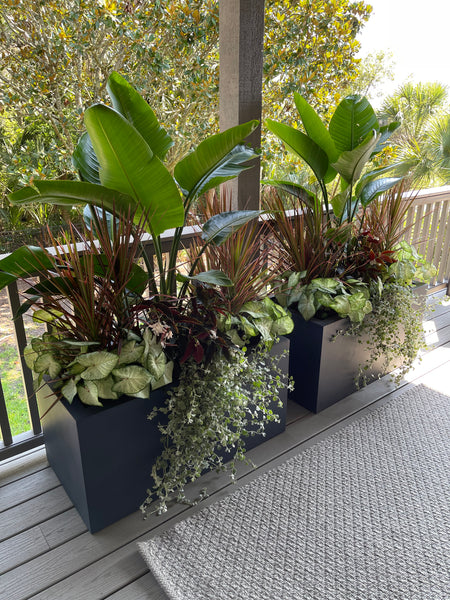 Exterior Planters Design with Advice Consultation