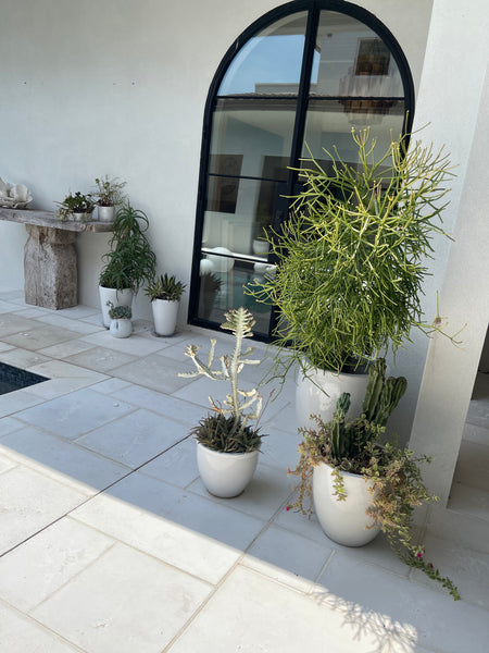 Exterior Planter Creations Gallery