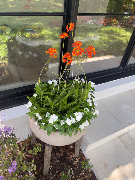 Exterior Planters Design with Advice Consultation