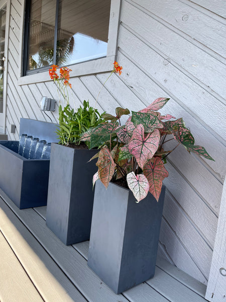 Exterior Planters Design with Advice Consultation