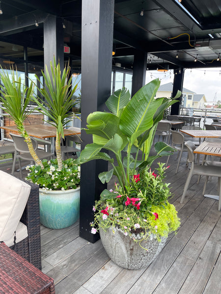 Exterior Planters Design with Advice Consultation