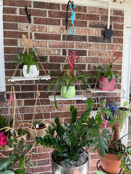 Gardenista Porch Patio Oasis Visit Appointment