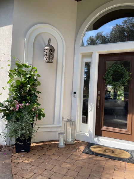 Exterior Planters Design with Advice Consultation