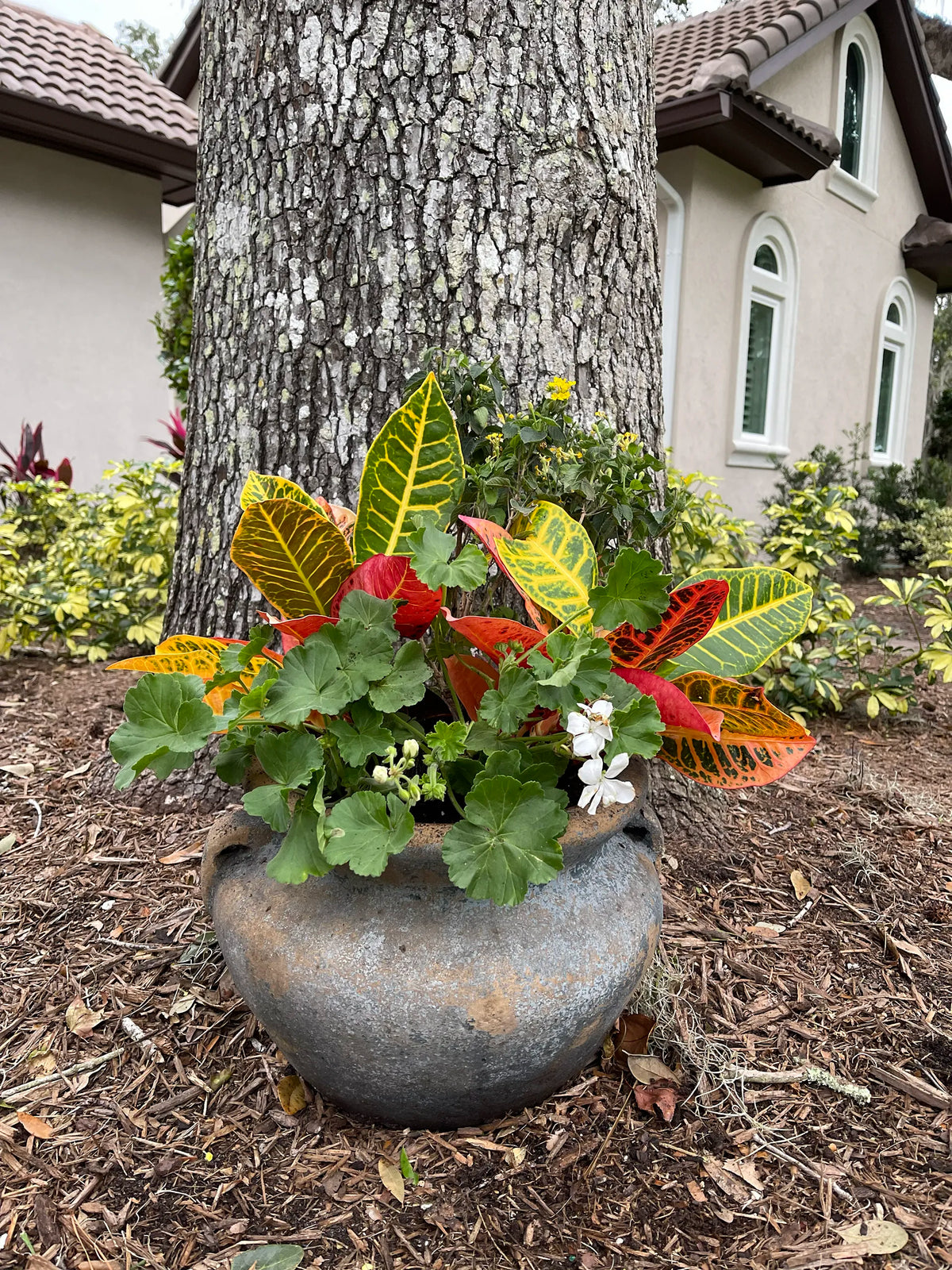 Custom Planter Consultation