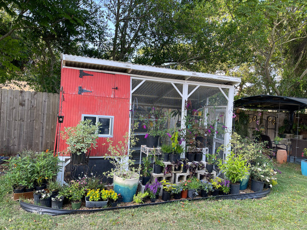 Gardenista Porch Patio Oasis Visit Appointment