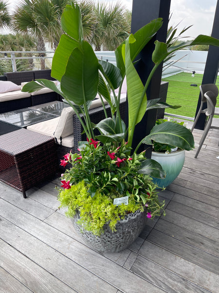 Exterior Planters Design with Advice Consultation