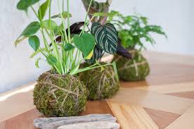 8/14 Kokedama with Houseplants at The Greenhouse Bar