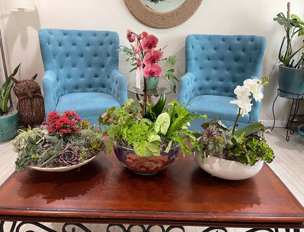 Custom Arrangements for Special Occasions and Gifts