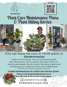 Plant Care Maintenance Plans & Plant Sitting Service