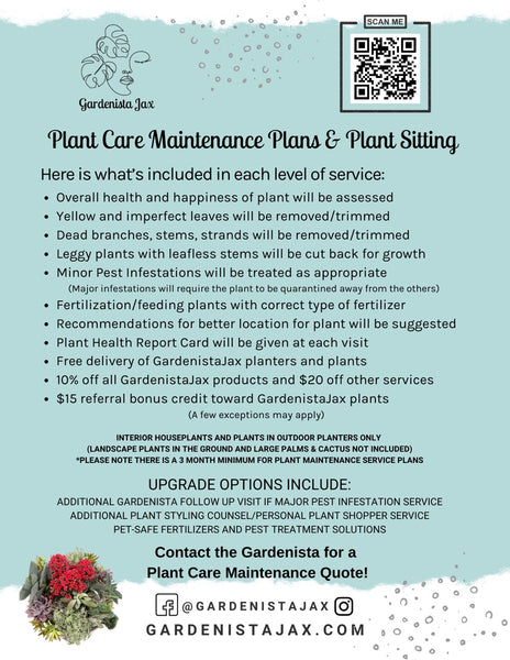 Plant Care Maintenance Plans & Plant Sitting Service