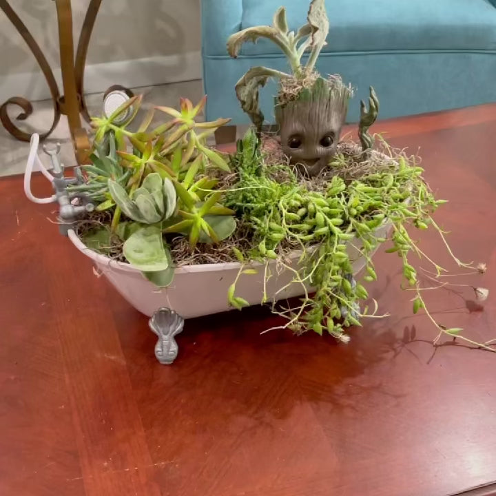 Custom Arrangements for Special Occasions and Gifts