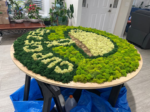 Moss Art Gallery of GardenistaJax moss creations