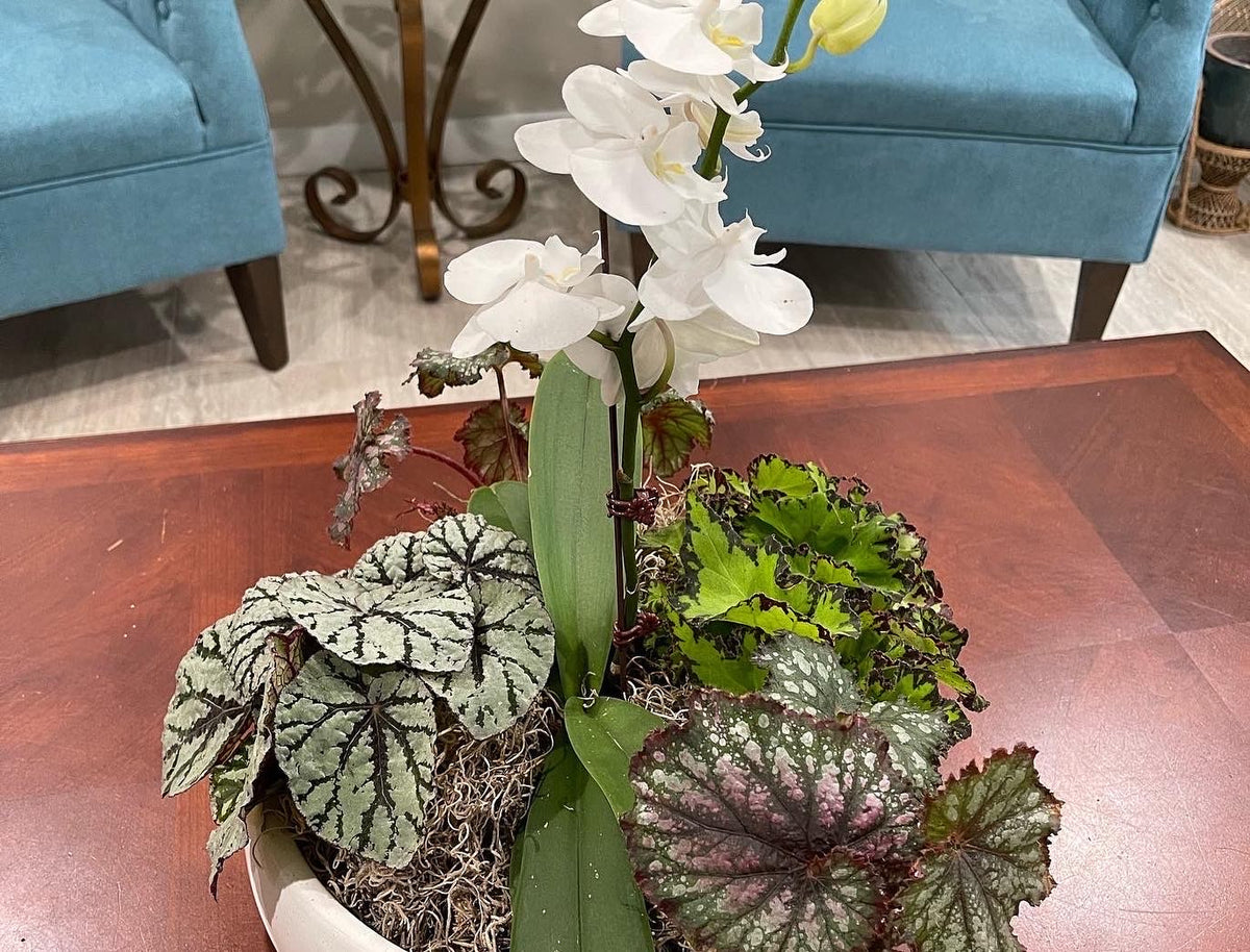 Custom Arrangements for Special Occasions and Gifts