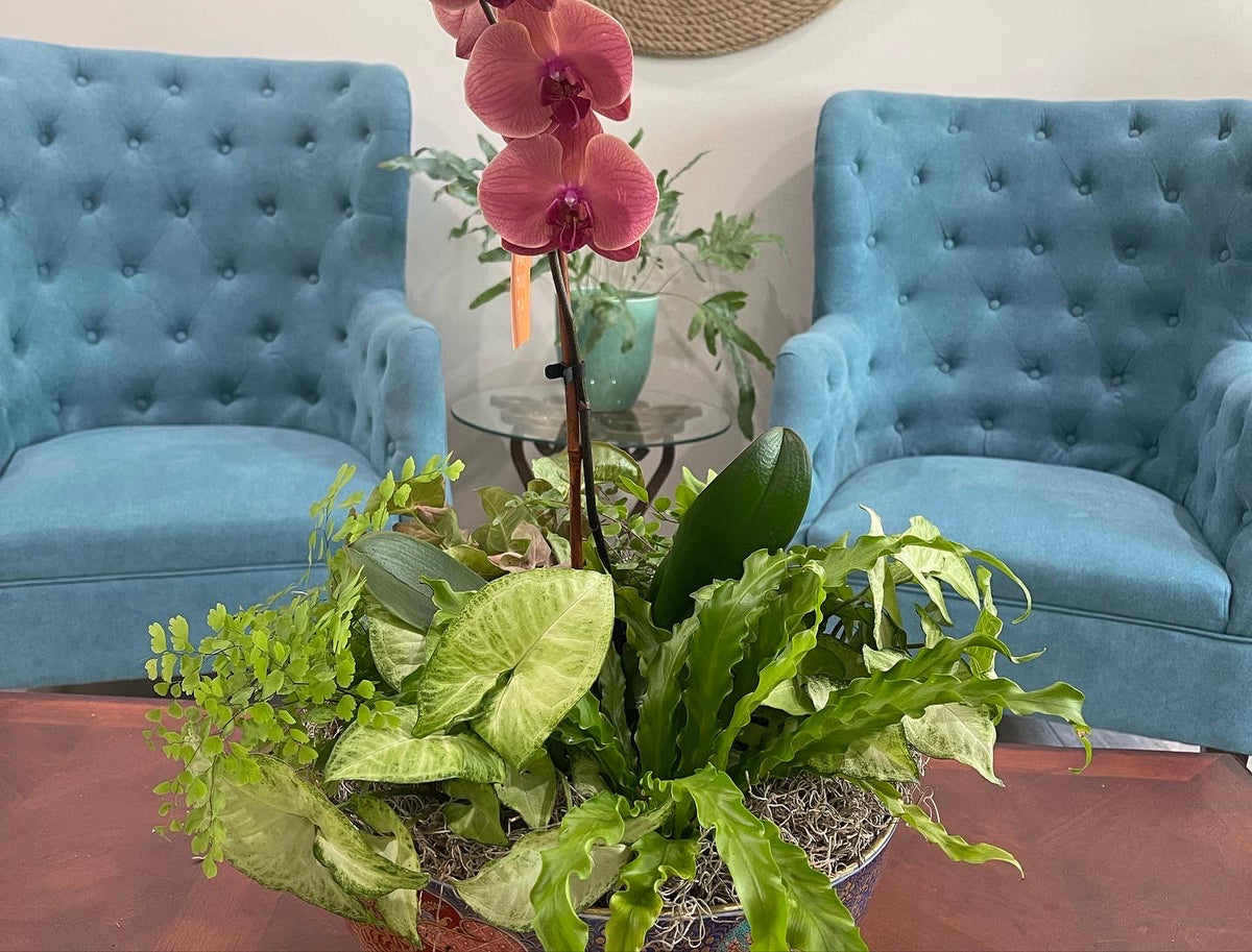 Custom Arrangements for Special Occasions and Gifts