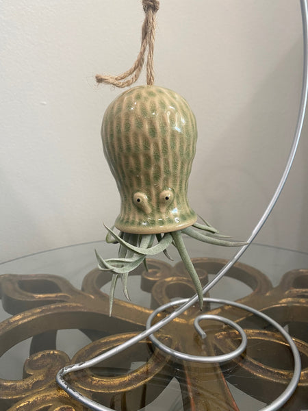 Hanging Sealife with Air Plant