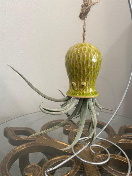 Hanging Sealife with Air Plant