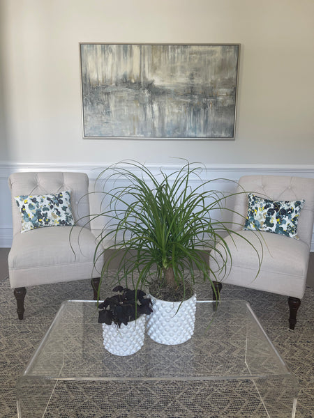 Plant Styling Advice Consultation