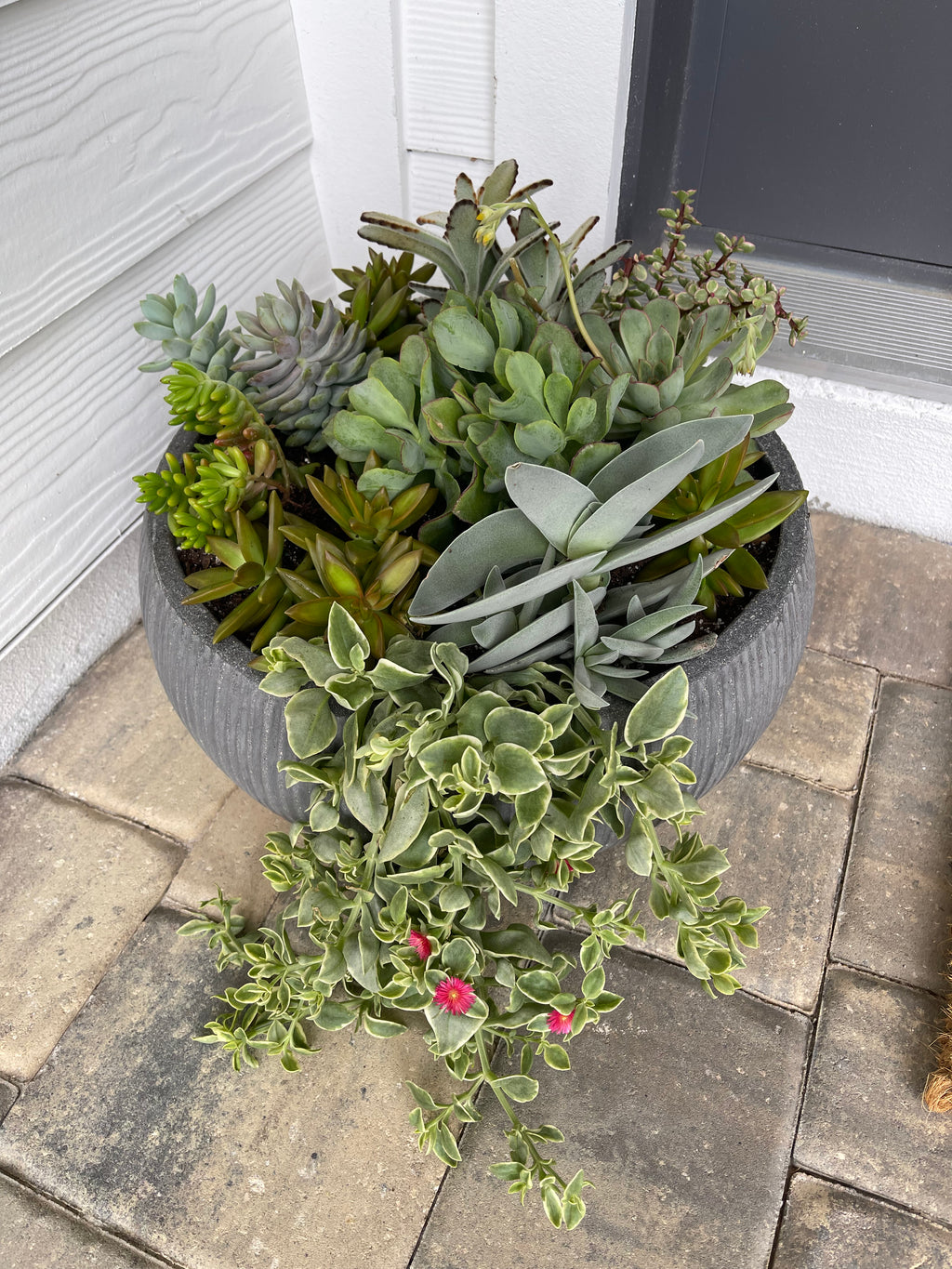 Custom Arrangements for Special Occasions and Gifts