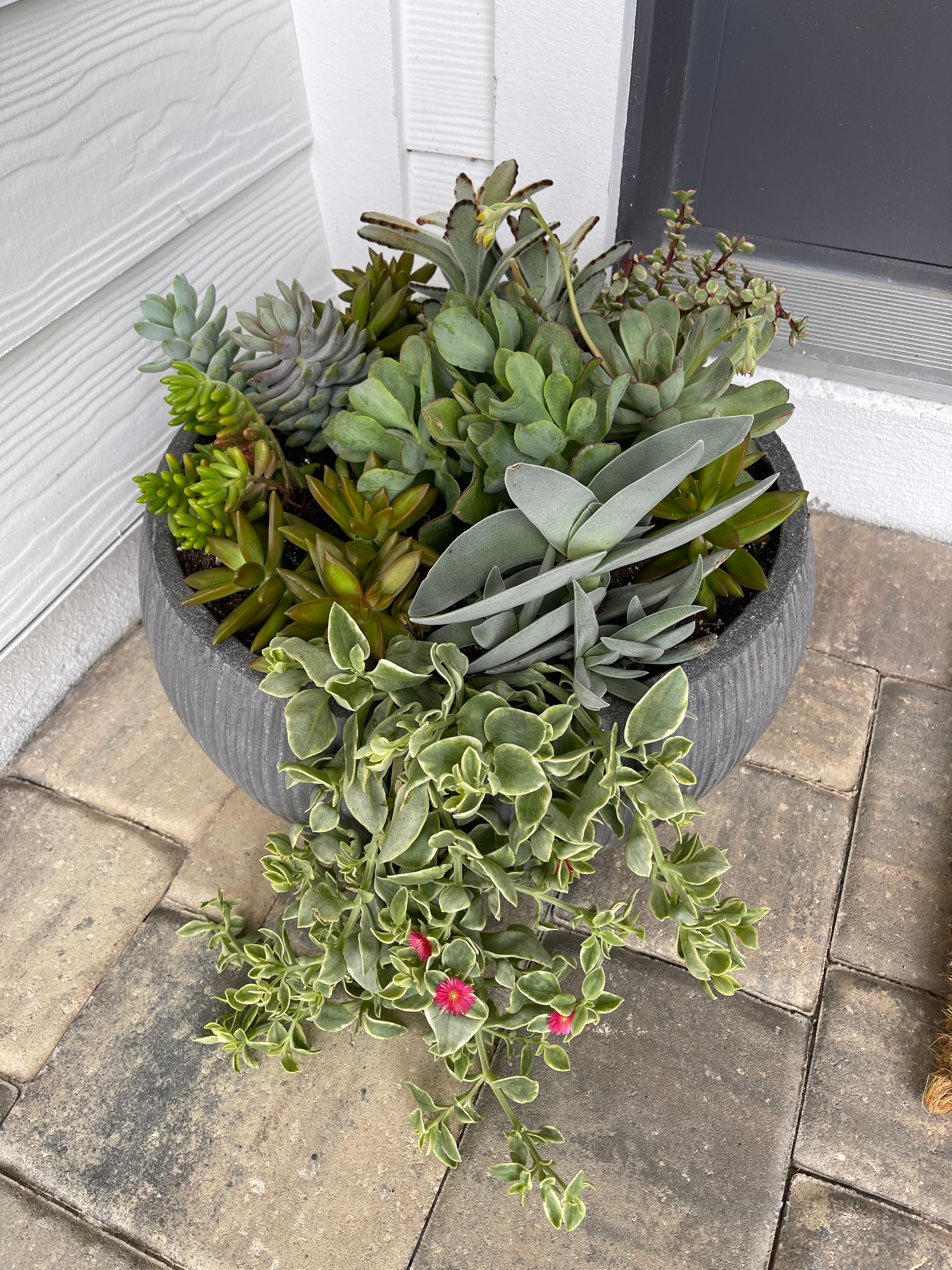 Custom Arrangements for Special Occasions and Gifts