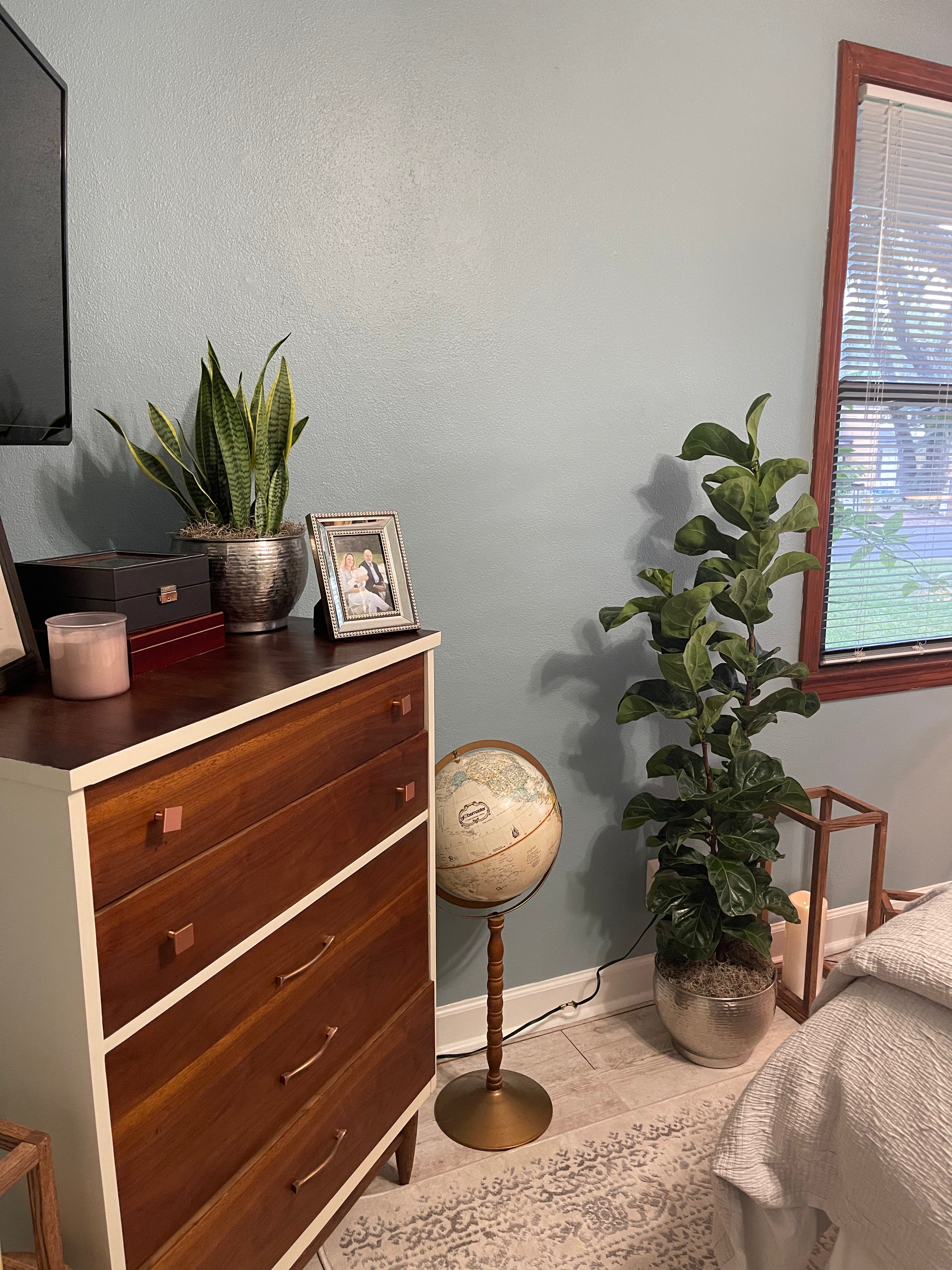 Interior Plant Styling Consultation