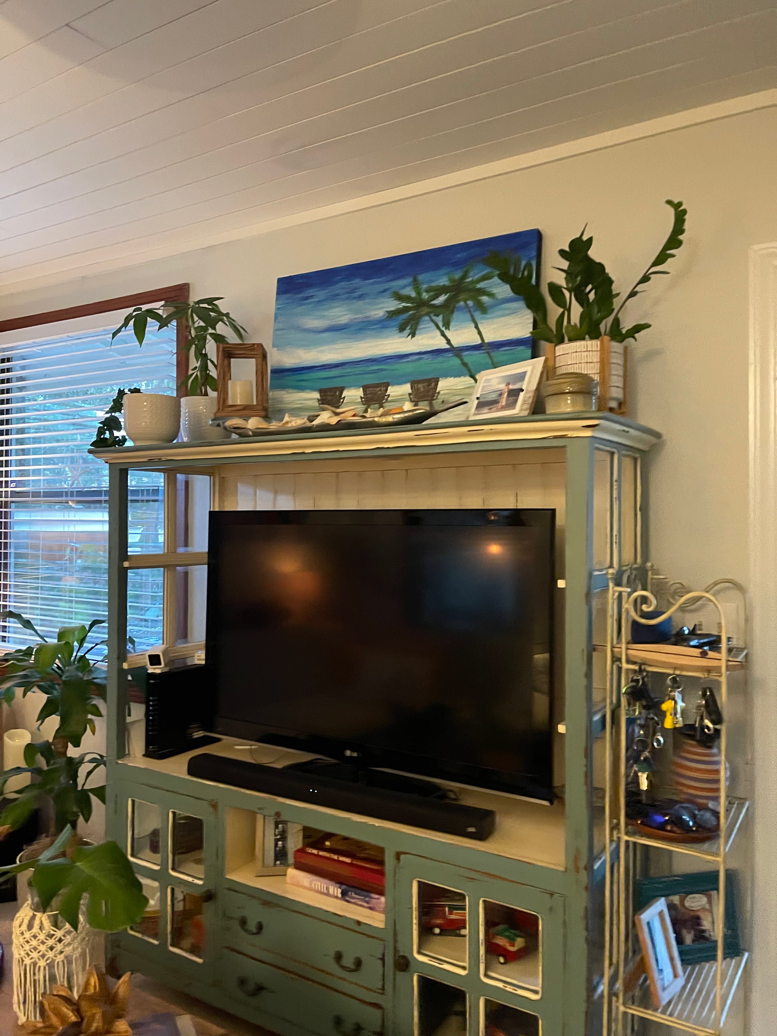 Interior Plant Styling Consultation