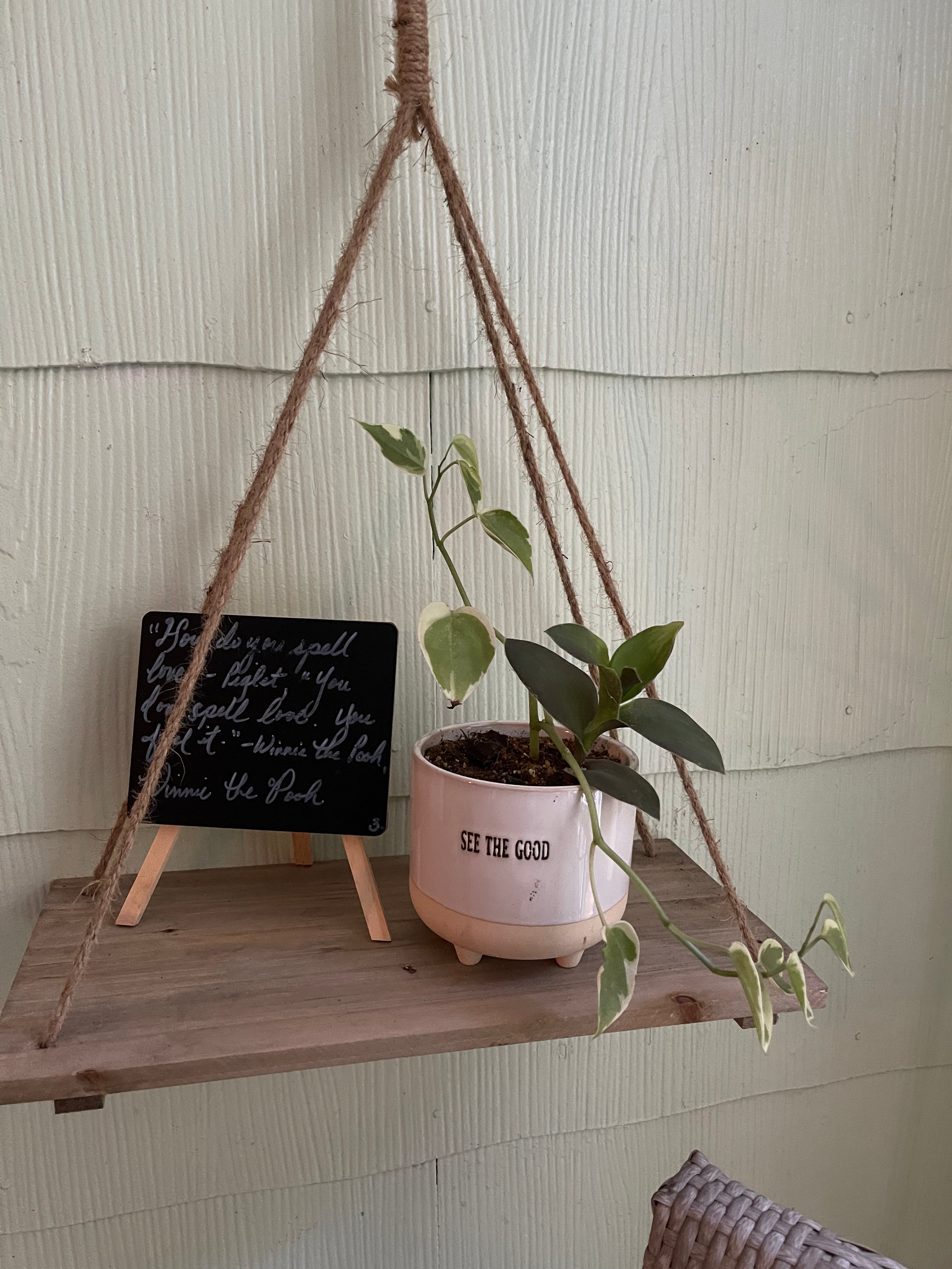 Commercial Interior Plant Styling Consultation
