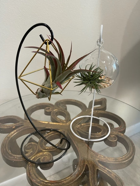 Hanging Hook Air Plant Stand