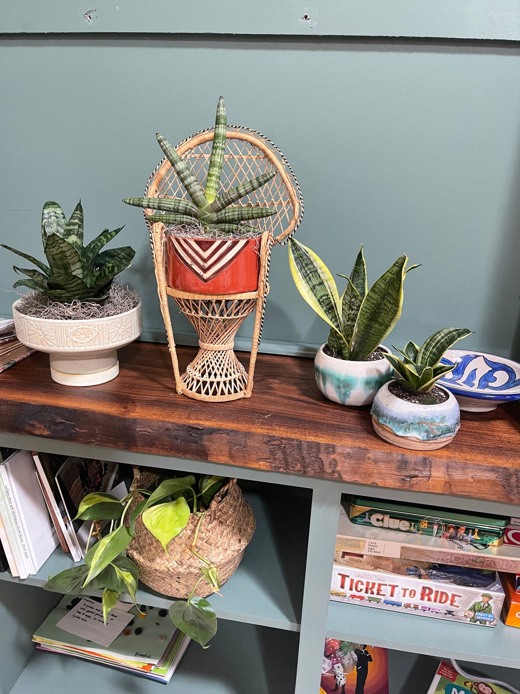 Commercial Interior Plant Styling Consultation