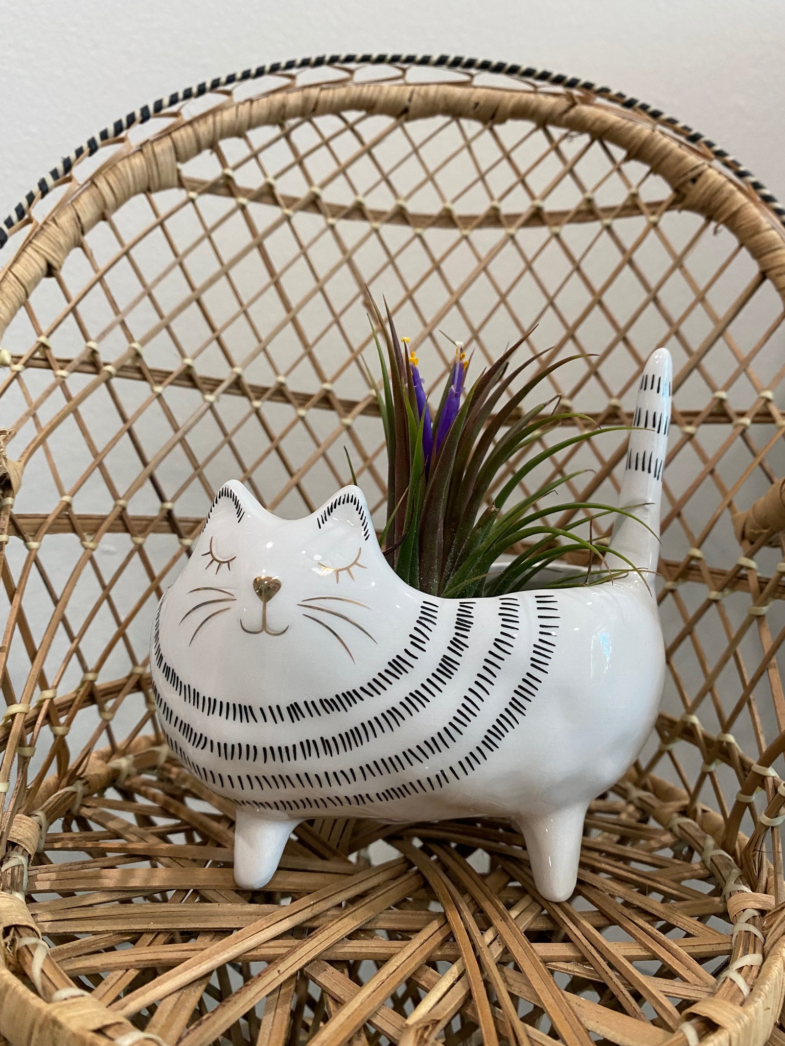 White Striped Cat Planter