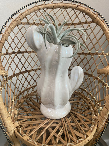 Cactus Vase Airplant Holder