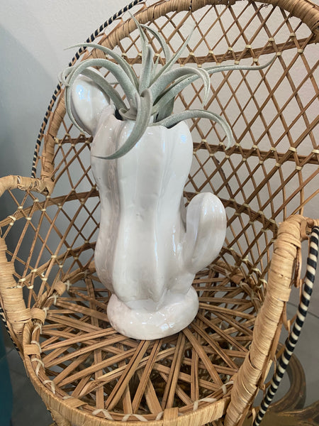 Cactus Vase Airplant Holder