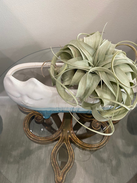Blue Bottom Cat Planter