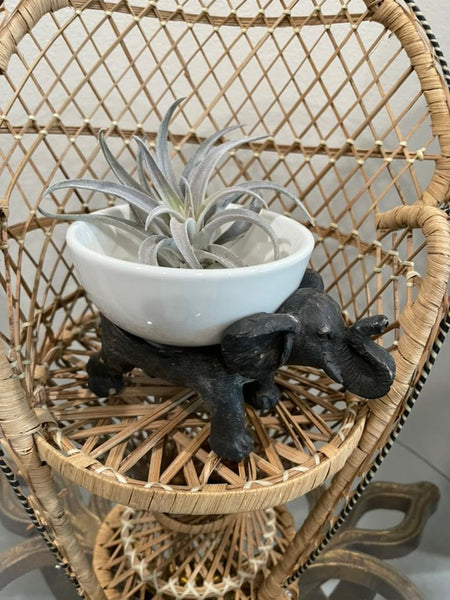 Lucky Elephant Dish or Airplant Holder
