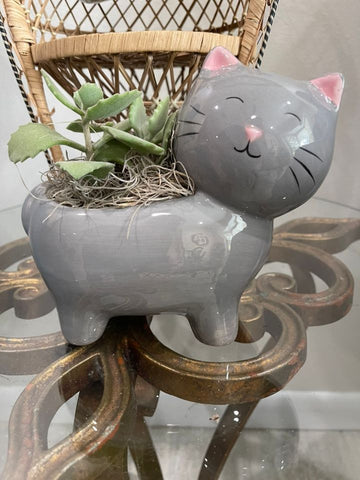 Grey Cat Planter