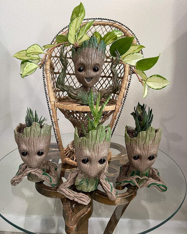 Groot Planters