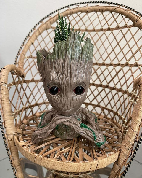 Groot Planters