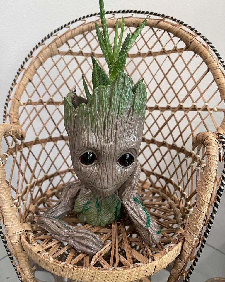 Groot Planters