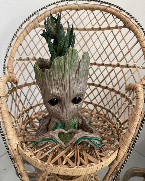 Groot Planters